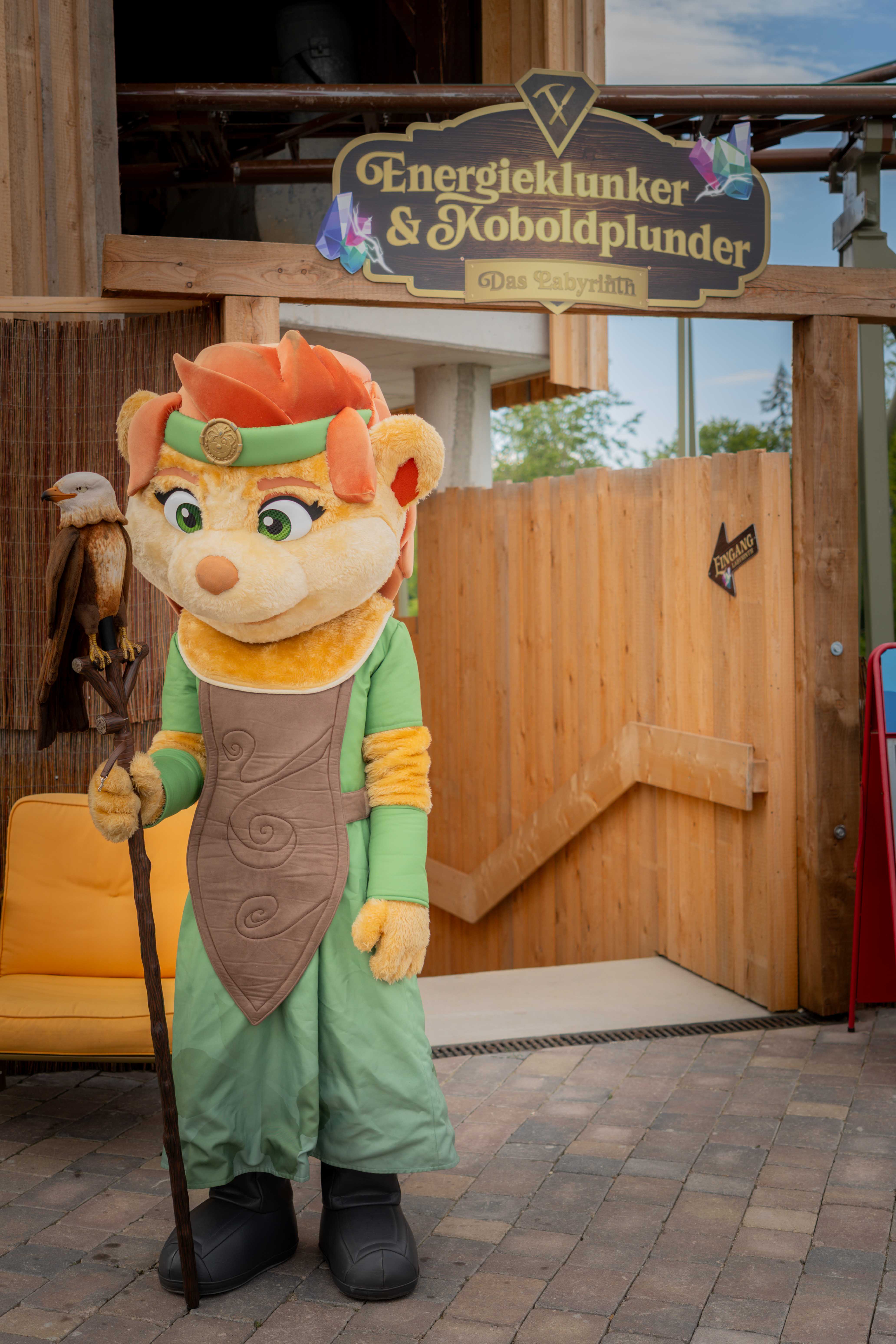 Social Media Management